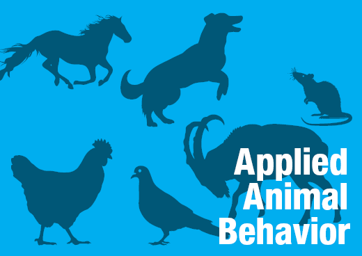 a square graphic representing ABAI Webinar: Applied Behavior Analysis With Animals: What Practitioners With Humans and Animals Can Learn From Each Other